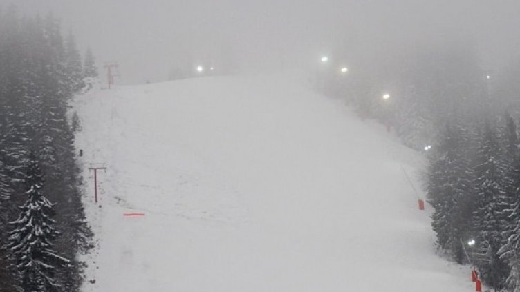 Снимка: архив, Булфото