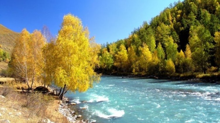 Снимка: Flickr