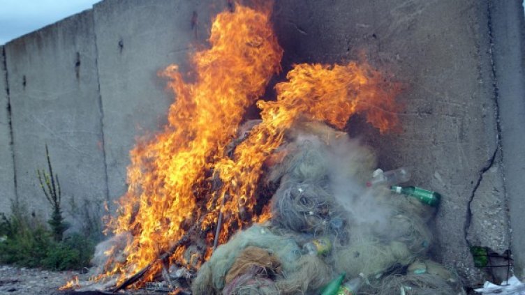 Снимка: Булфото, архив