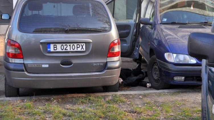 Снимка: Булфото