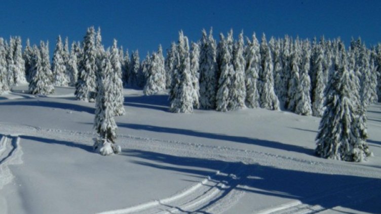 Снимка: архив, Булфото