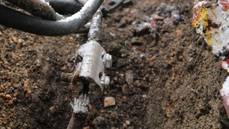 Снимка: Булфото, архив