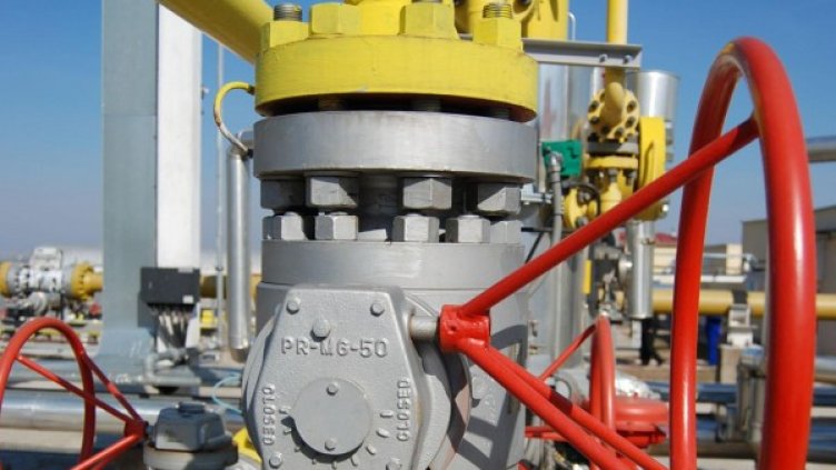 Снимка: архив, БулФото