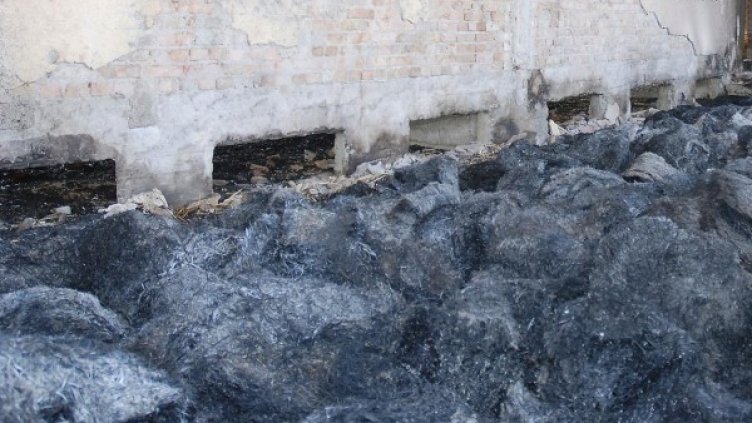 Снимка: Булфото, архив