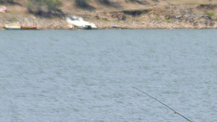 Снимка: архив, БулФото