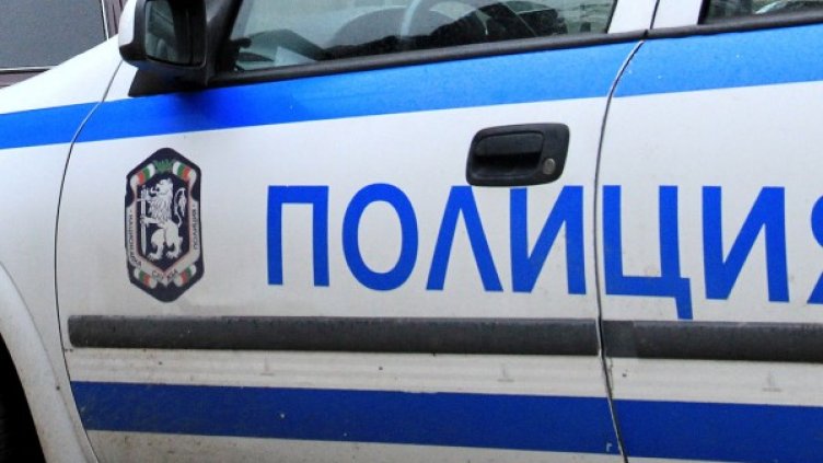 Снимка: архив, БулФото