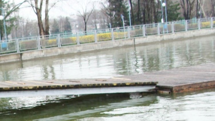 Снимка: Булфото, архив