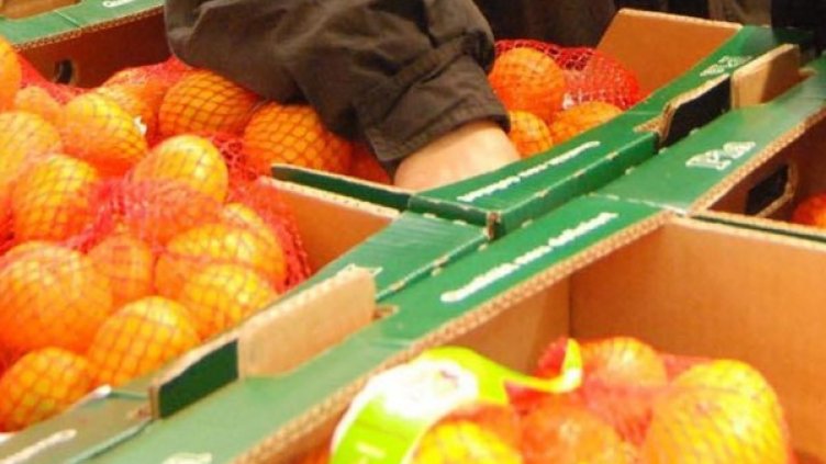 Снимка: архив, Булфото