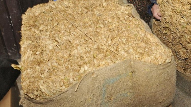 Снимка: архив Булфото