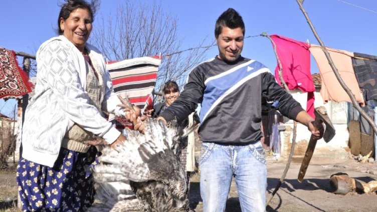 На трапезата задължително има птиче месо - петел, гъска, пуйка... Снимка: Булфото