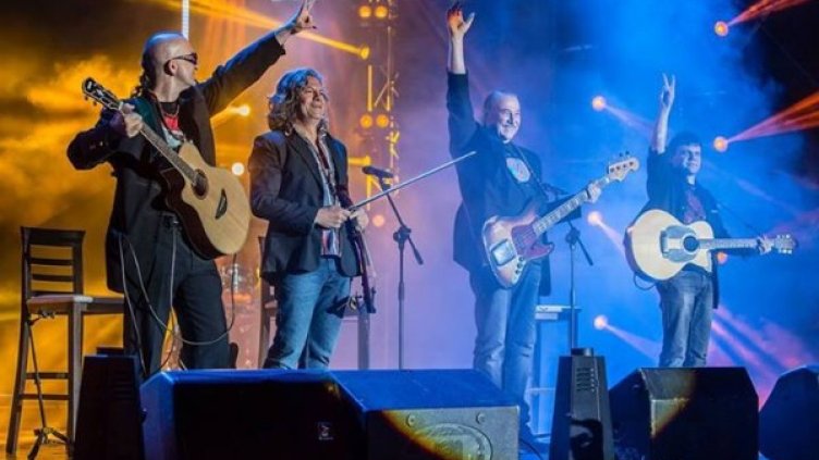 Снимка: Артишок