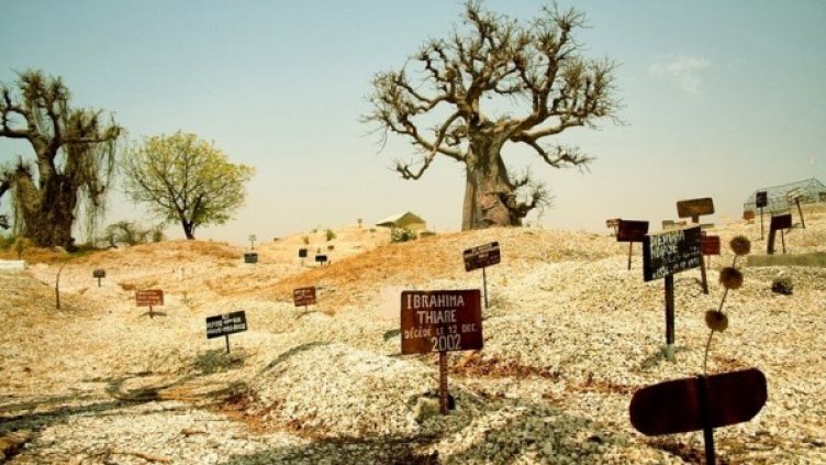 Снимка: Flickr