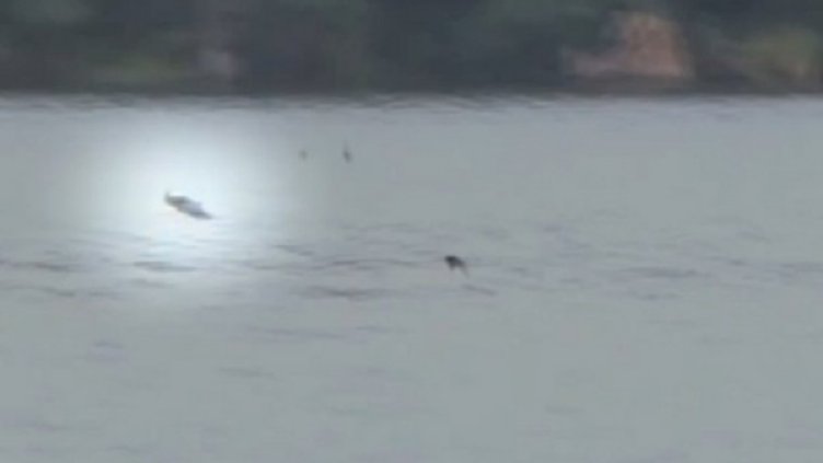 Снимка: YouTube