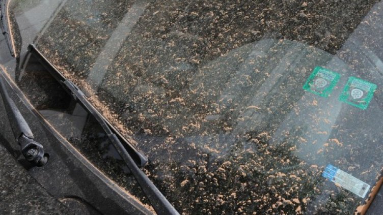 Снимка: архив, Булфото