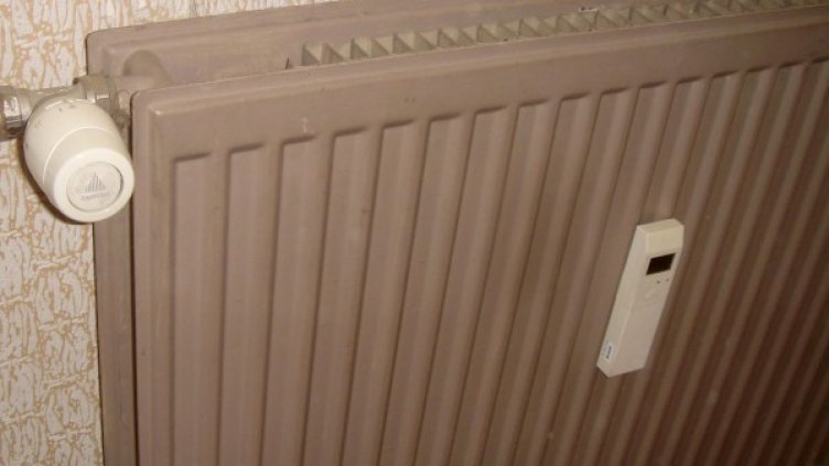 Архив: Булфото