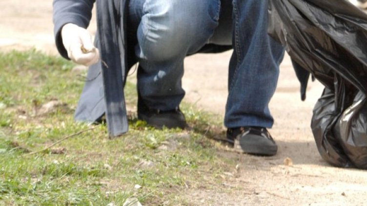 Снимка: Булфото, архив