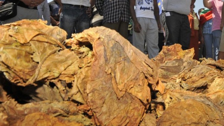 Снимка: Булфото, архив