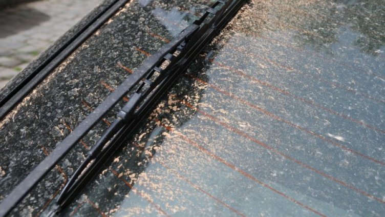 Снимка: архив, Булфото