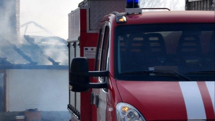 Архив: Булфото