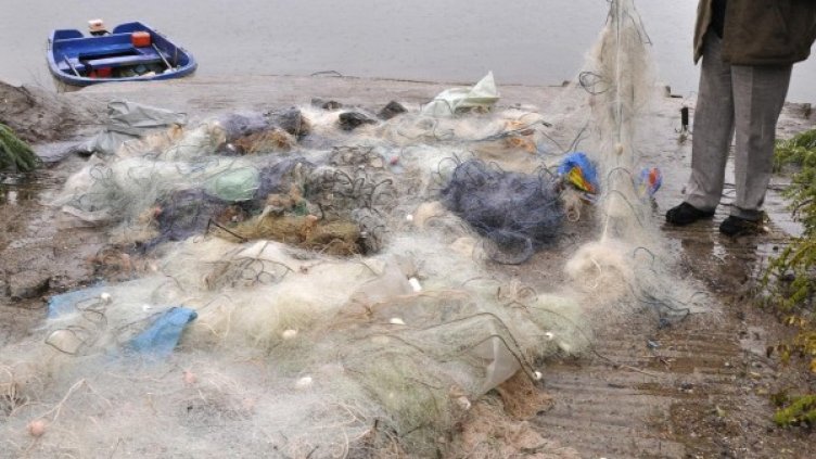 Снимка: Булфото, архив