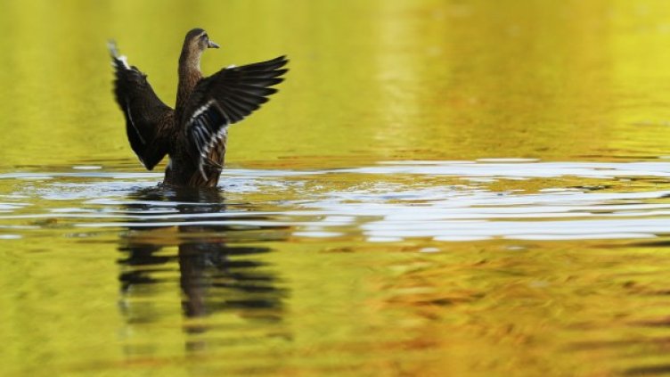 Снимка: архив, Ройтерс