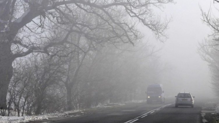 Архив: Булфото