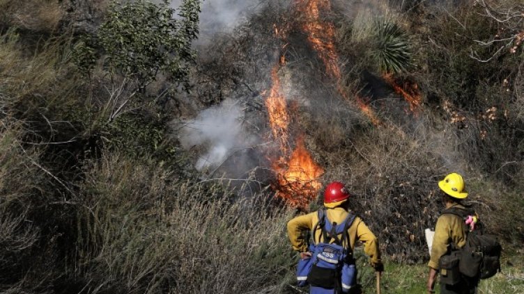 На много места в Калифорния избухват пожари заради сухото време. Снимка: БТА