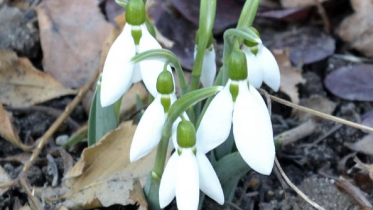 Снимка: архив Булфото