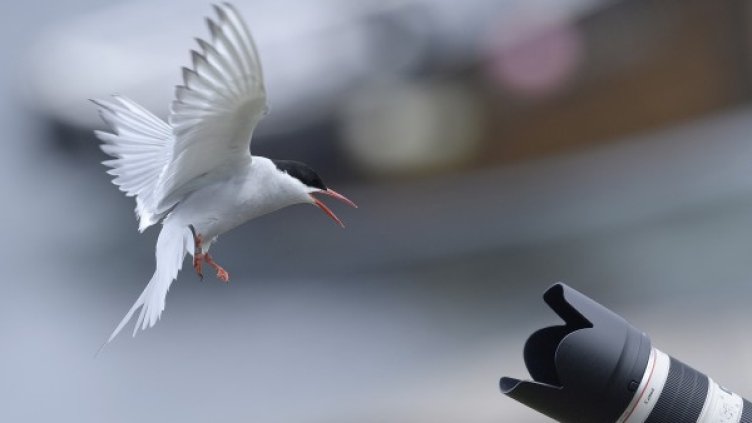 Снимка: архив, Reuters