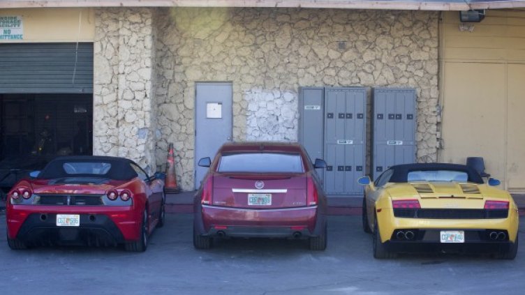 Колите, участвали в гонката. Снимка: БТА