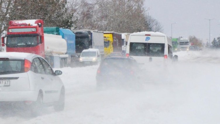 Снимка: архив, БулФото