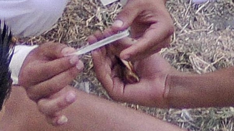 Снимка: Булфото, архив