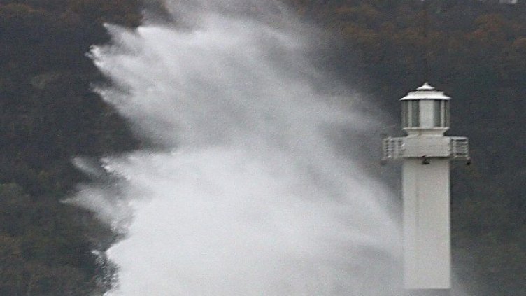 Снимка: Булфото