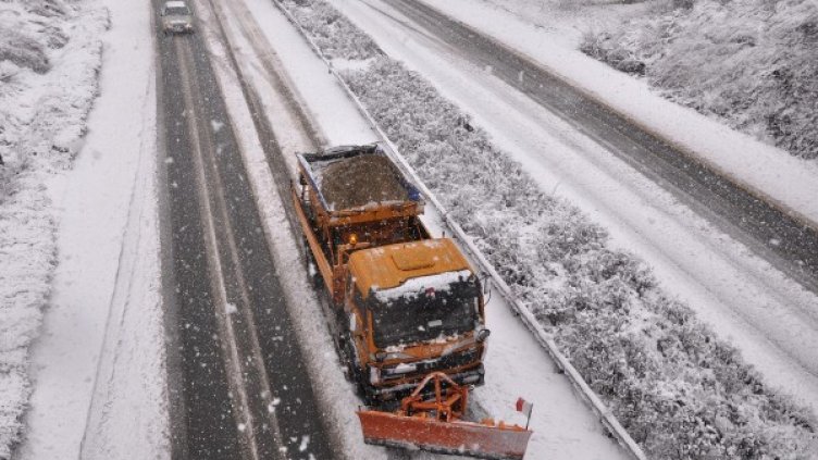 Снимка: Булфото