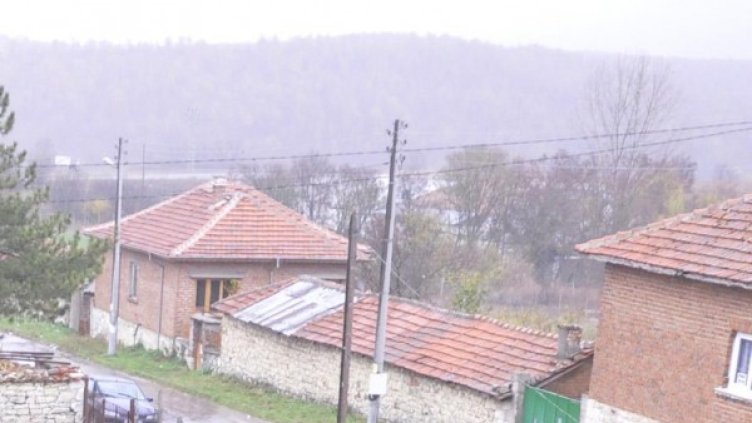 Снимка: Булфото, архив