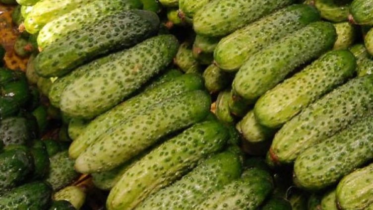 Снимка: Булфото, архив