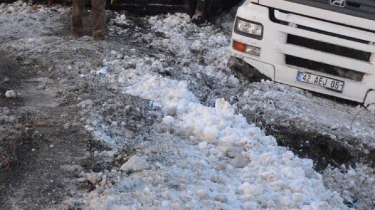 Архив: Булфото