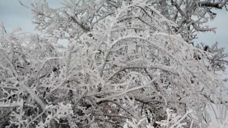 Снимка: архив, Булфото