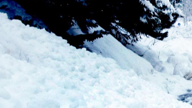 Снимка: архив, Булфото