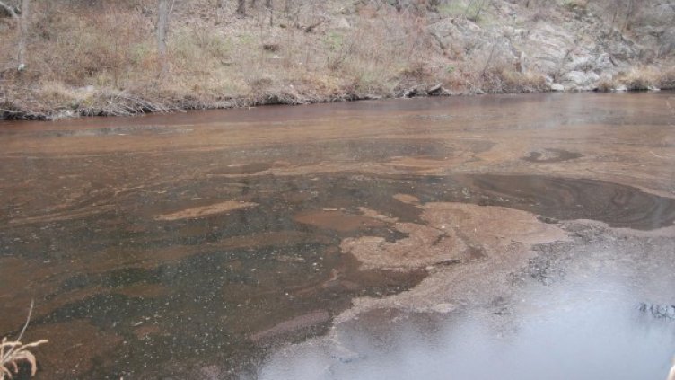 Снимка: архив Булфото