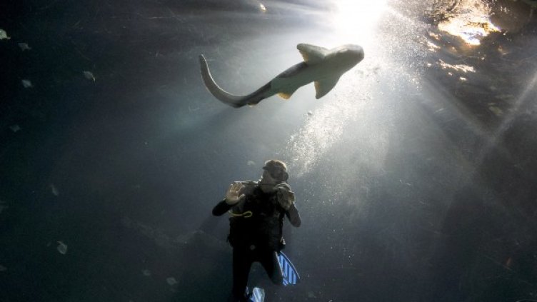 Снимка: архив, Reuters