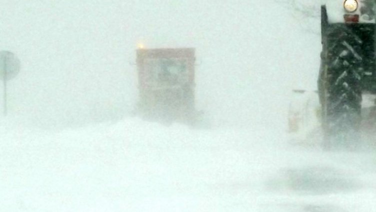 Архив: Булфото