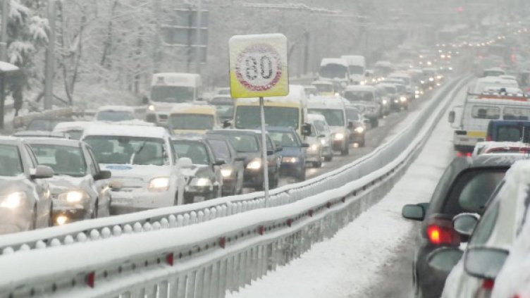 Снимка: архив, Булфото