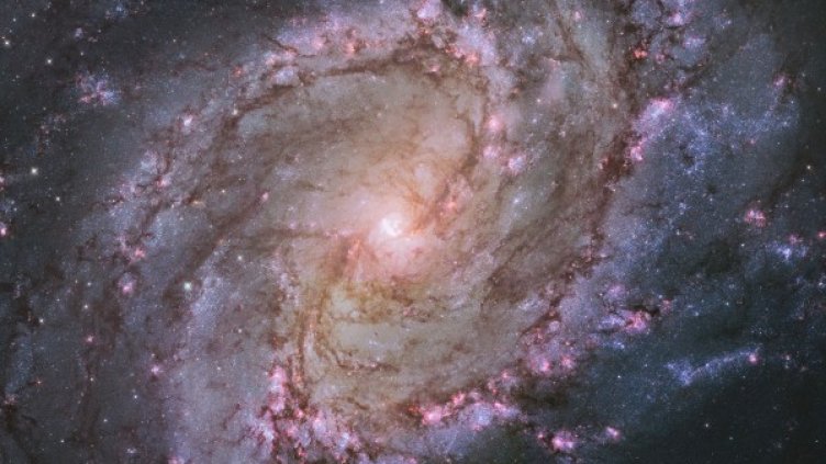 Снимка: архив, Reuters