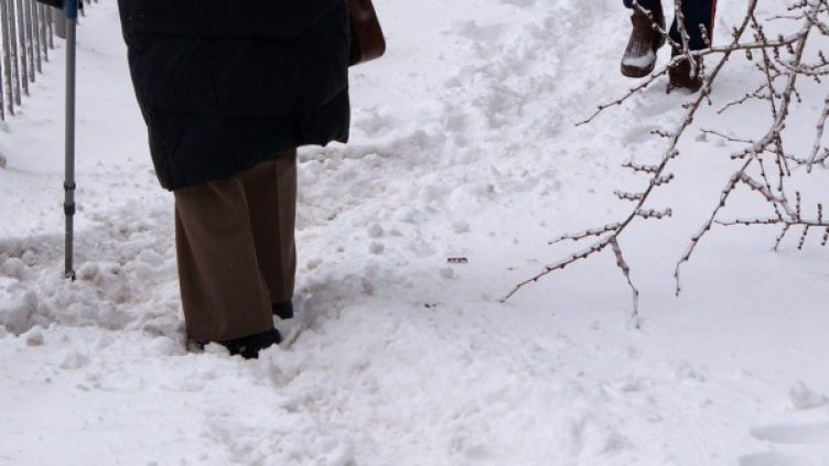 Архив: Булфото