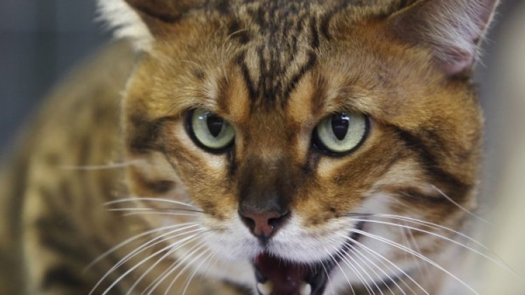 Снимка: Reuters