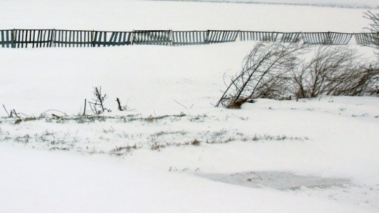 Зимата в Силистра. Снимка: БТА