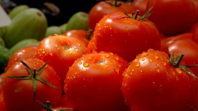 Снимка: архив, БулФото