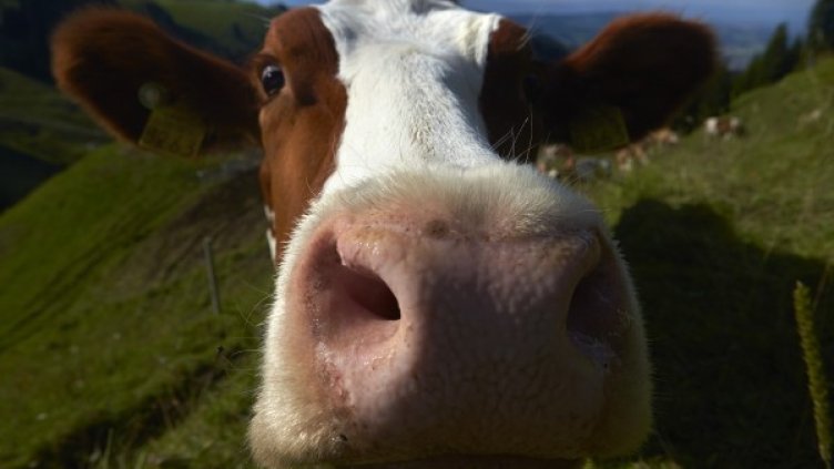 Снимка: архив, Reuters