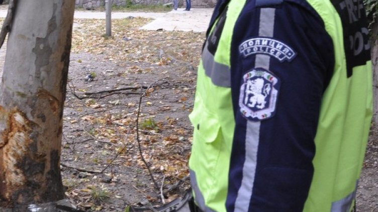 Архив: Булфото